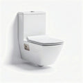 Toilette suspendue en céramique blanche avec réservoir intégré 75 x 40 x 75cm